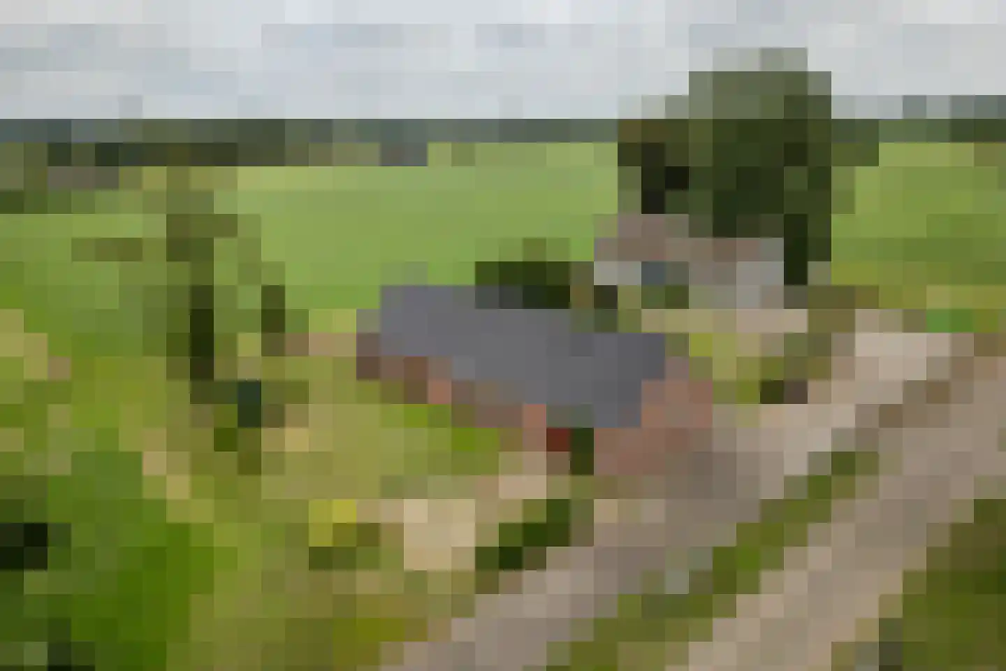 Middeldijk 55 Dalfsen thumbnail 32