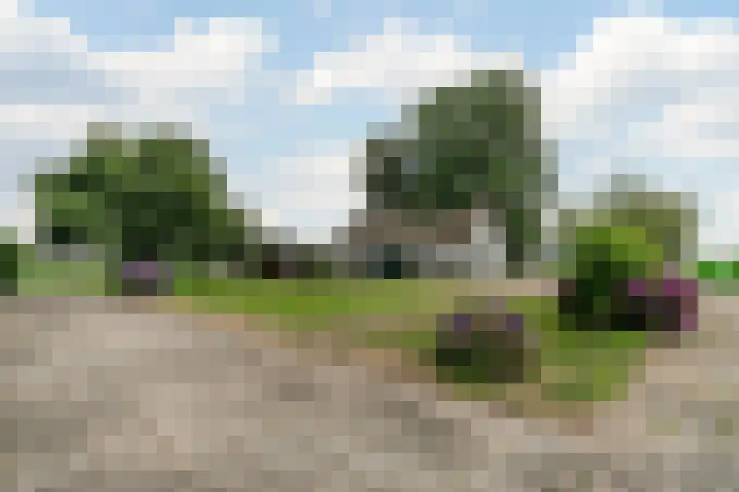 Middeldijk 55 Dalfsen thumbnail 35