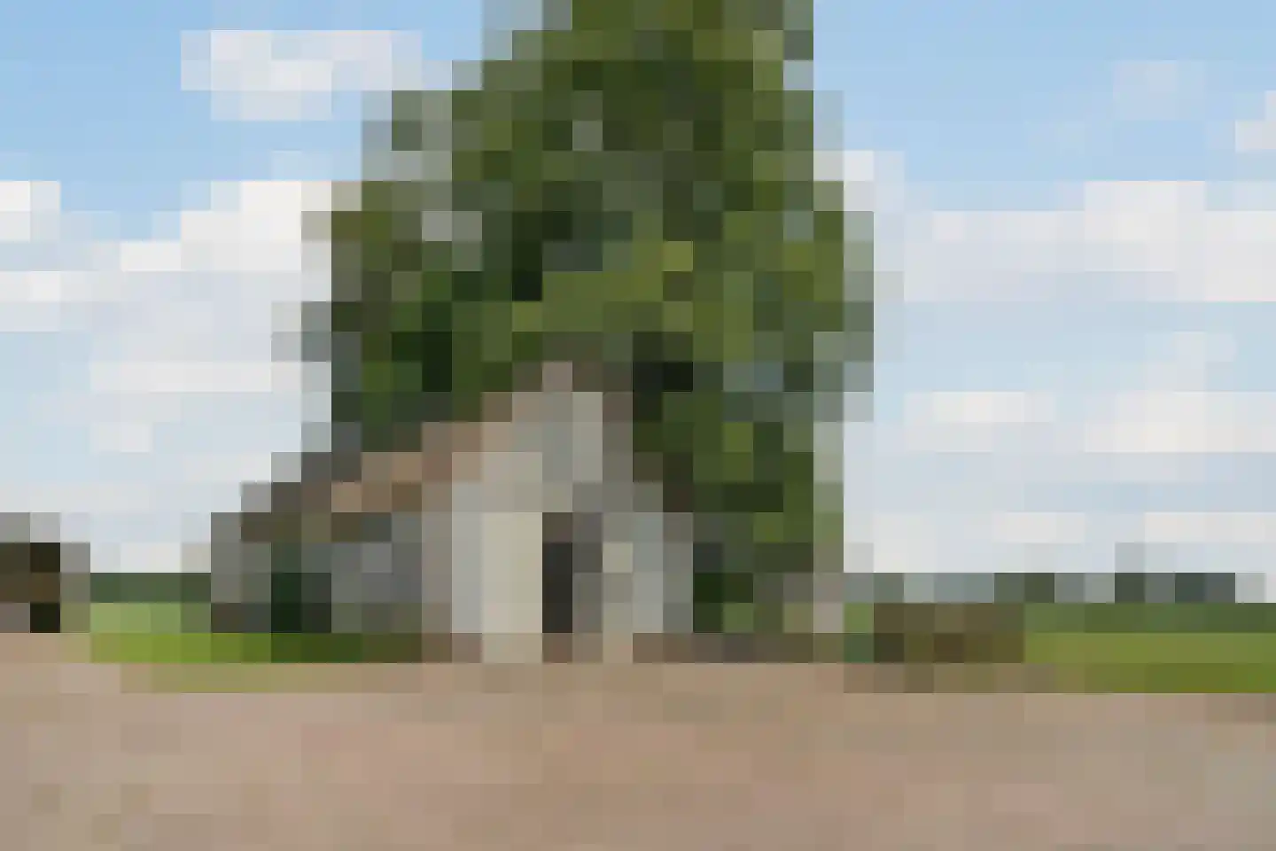 Middeldijk 55 Dalfsen thumbnail 38