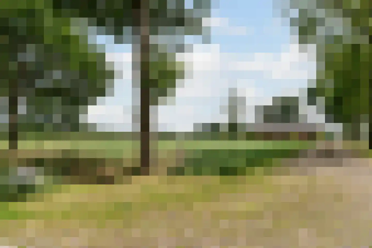Middeldijk 55 Dalfsen thumbnail 39