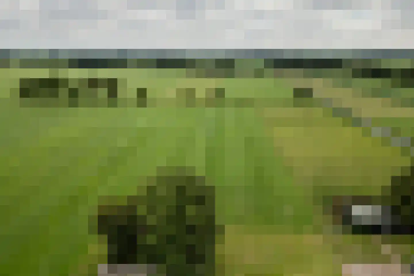Middeldijk 55 Dalfsen thumbnail 4