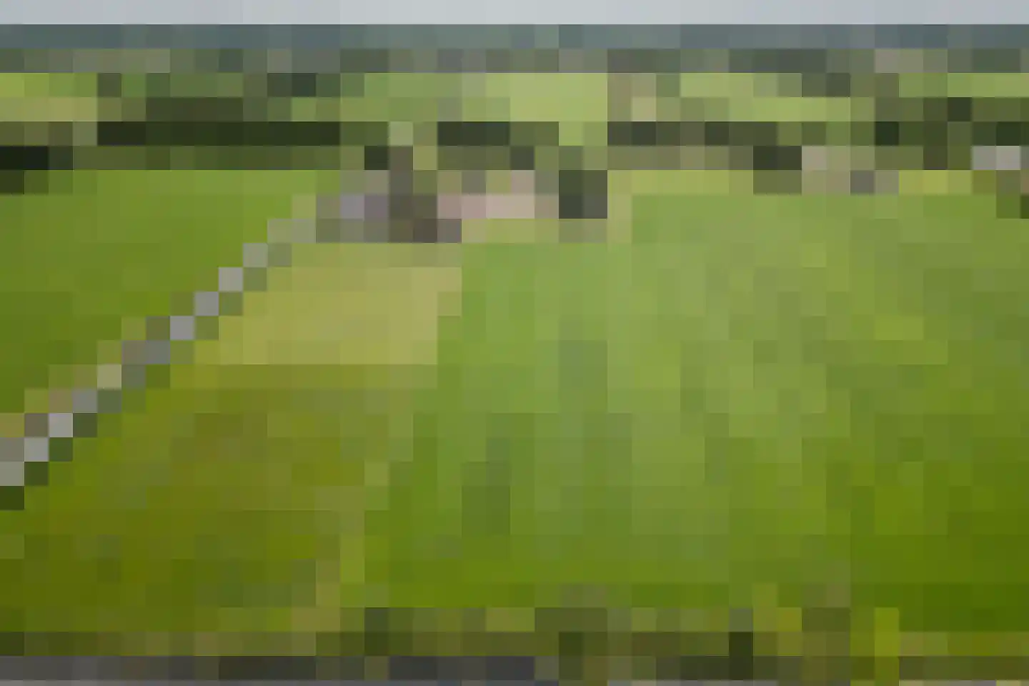 Middeldijk 55 Dalfsen thumbnail 5