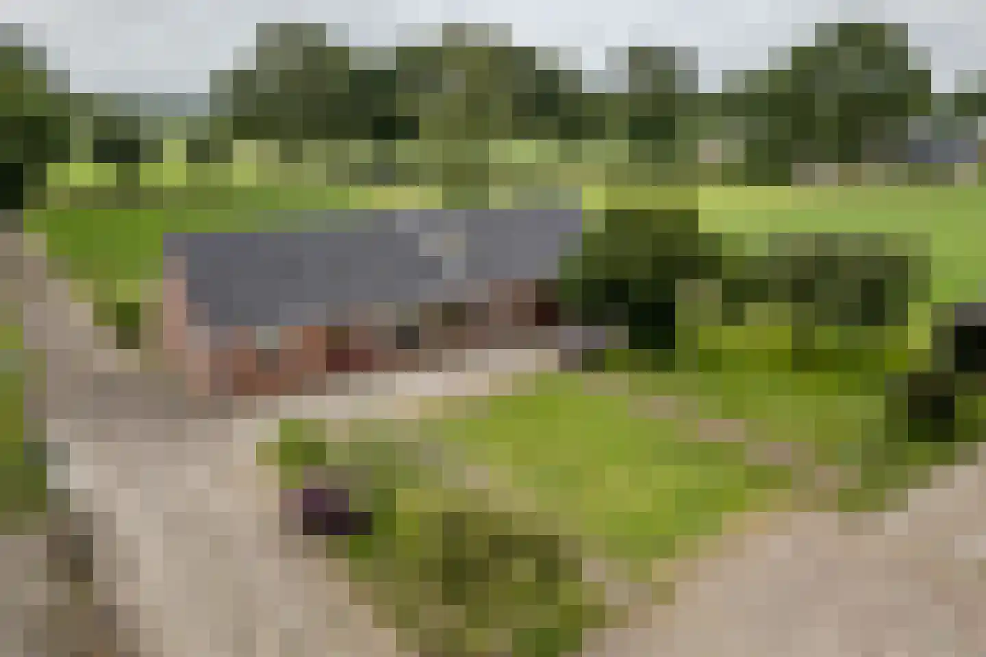 Middeldijk 55 Dalfsen thumbnail 6