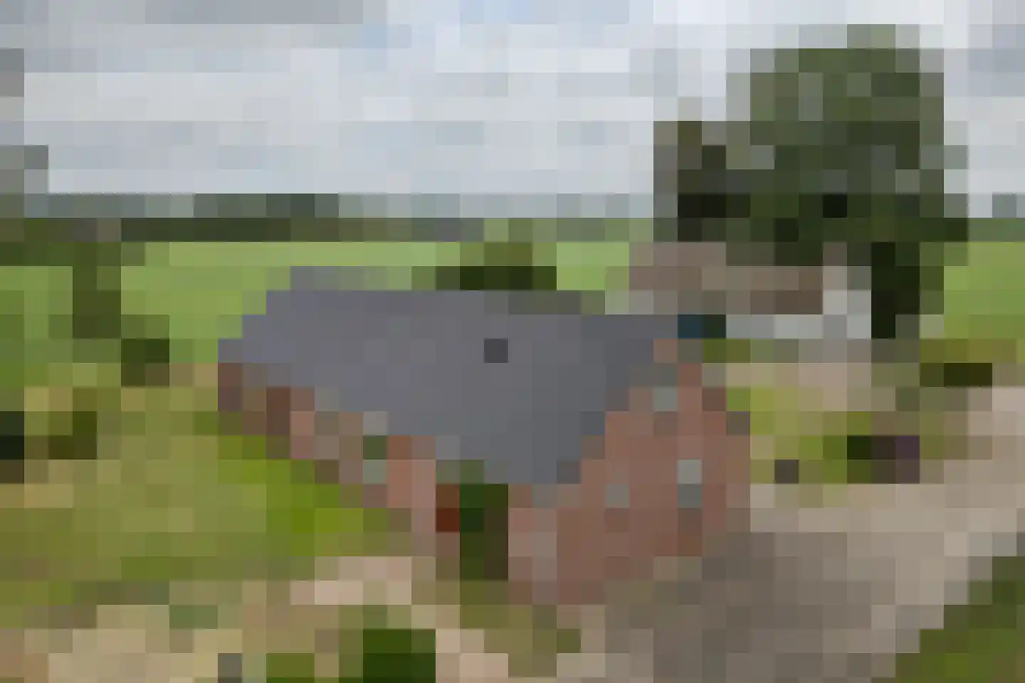 Middeldijk 55 Dalfsen thumbnail 7