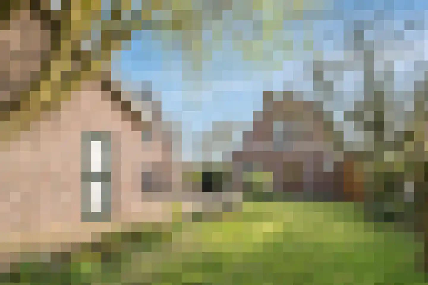 Middeldijk 78 Barendrecht thumbnail 30