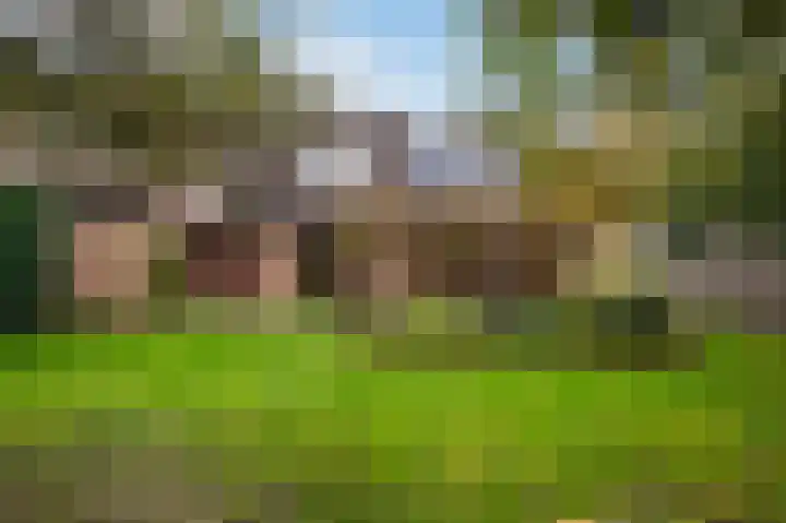 Middeldijk 8 Rijssen thumbnail 41