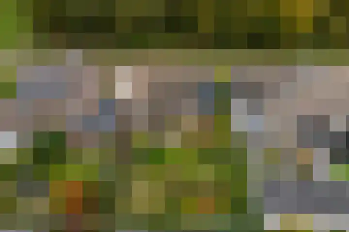 Middeldijk 8 Rijssen thumbnail 43