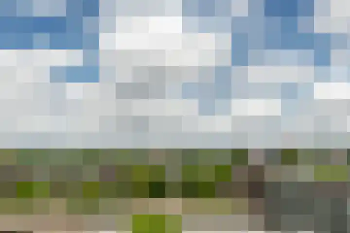 Middeldijkerplein 102 Barendrecht thumbnail 13