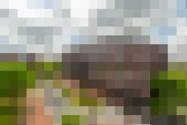 Middeldijkerplein 102 Barendrecht thumbnail 32