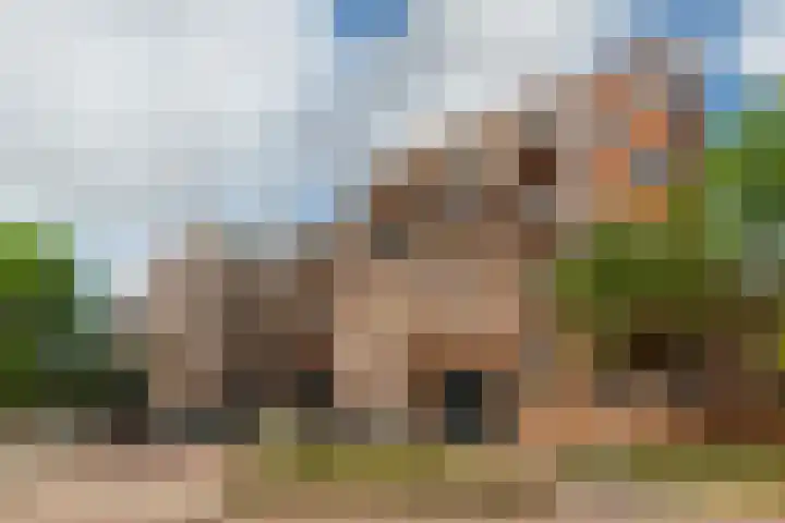 Middeldijkerplein 102 Barendrecht thumbnail 7