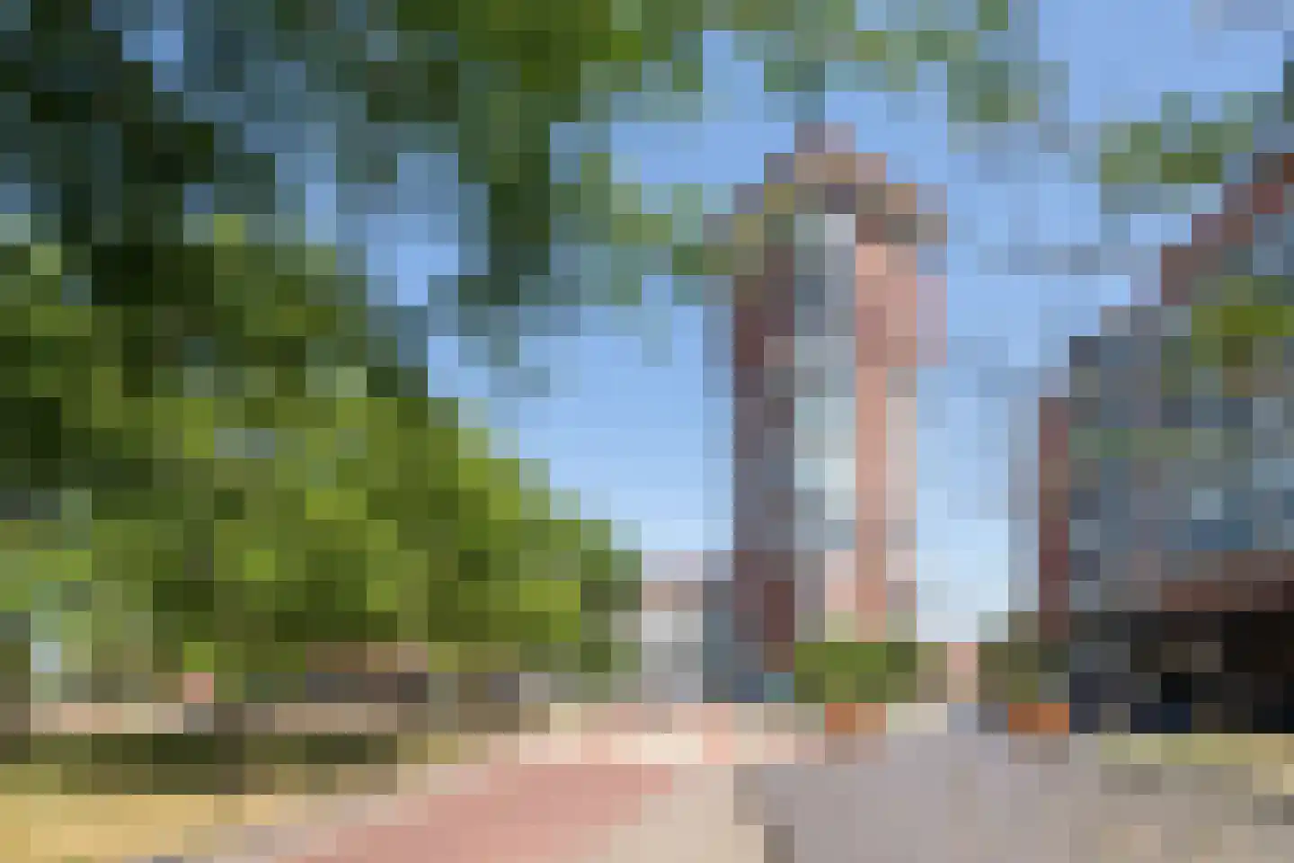 Middeldijkerplein 256 Barendrecht thumbnail 36