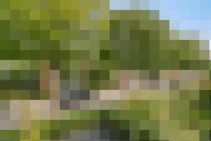 Middeldoel 16 Nieuw-Beijerland thumbnail 29
