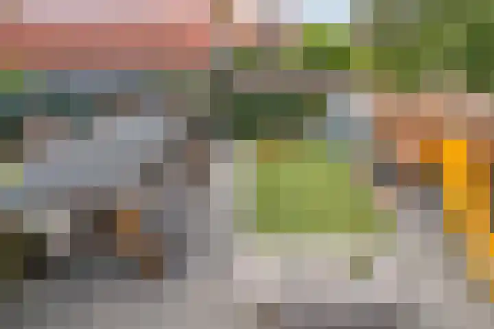Middeldoel 16 Nieuw-Beijerland thumbnail 37