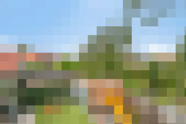 Middeldoel 16 Nieuw-Beijerland thumbnail 38