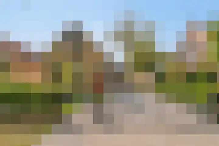 Middeldoel 16 Nieuw-Beijerland thumbnail 4
