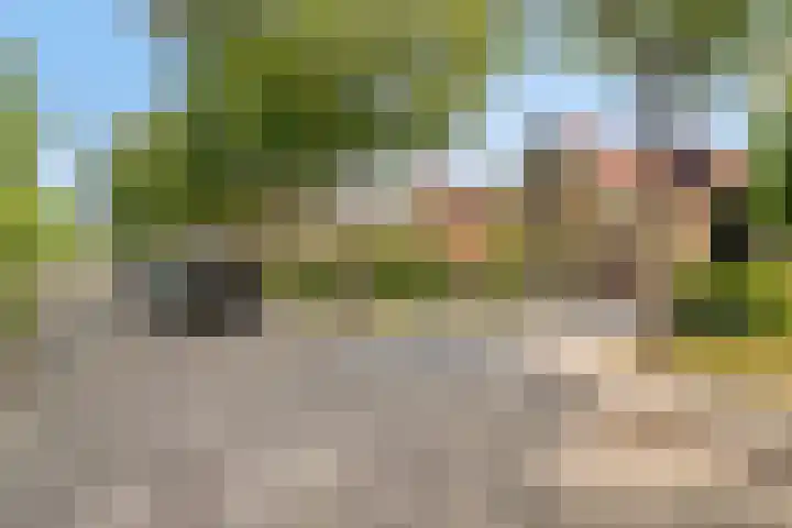 Middeldoel 16 Nieuw-Beijerland thumbnail 5