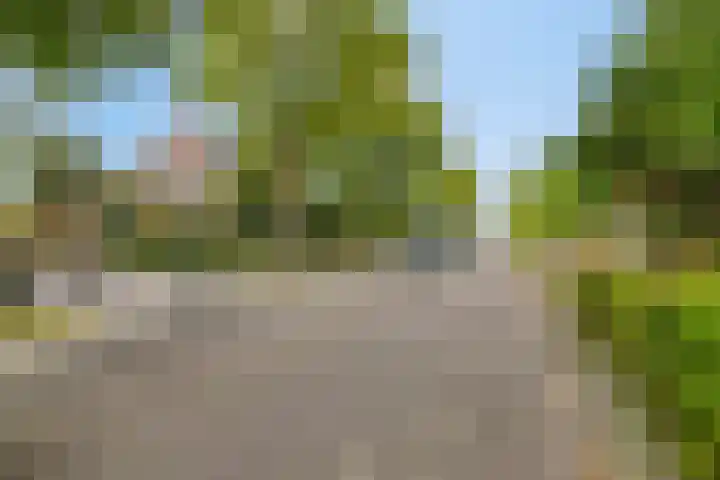 Middeldoel 16 Nieuw-Beijerland thumbnail 50
