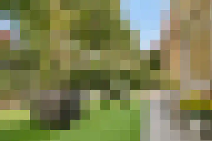 Middeldoel 16 Nieuw-Beijerland thumbnail 6