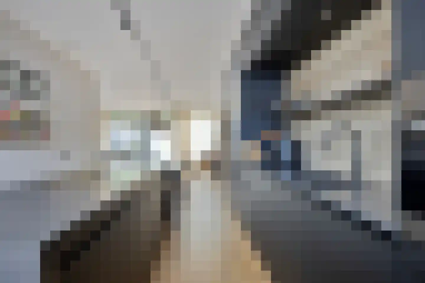 Middeleeuwen 28 Goirle thumbnail 13