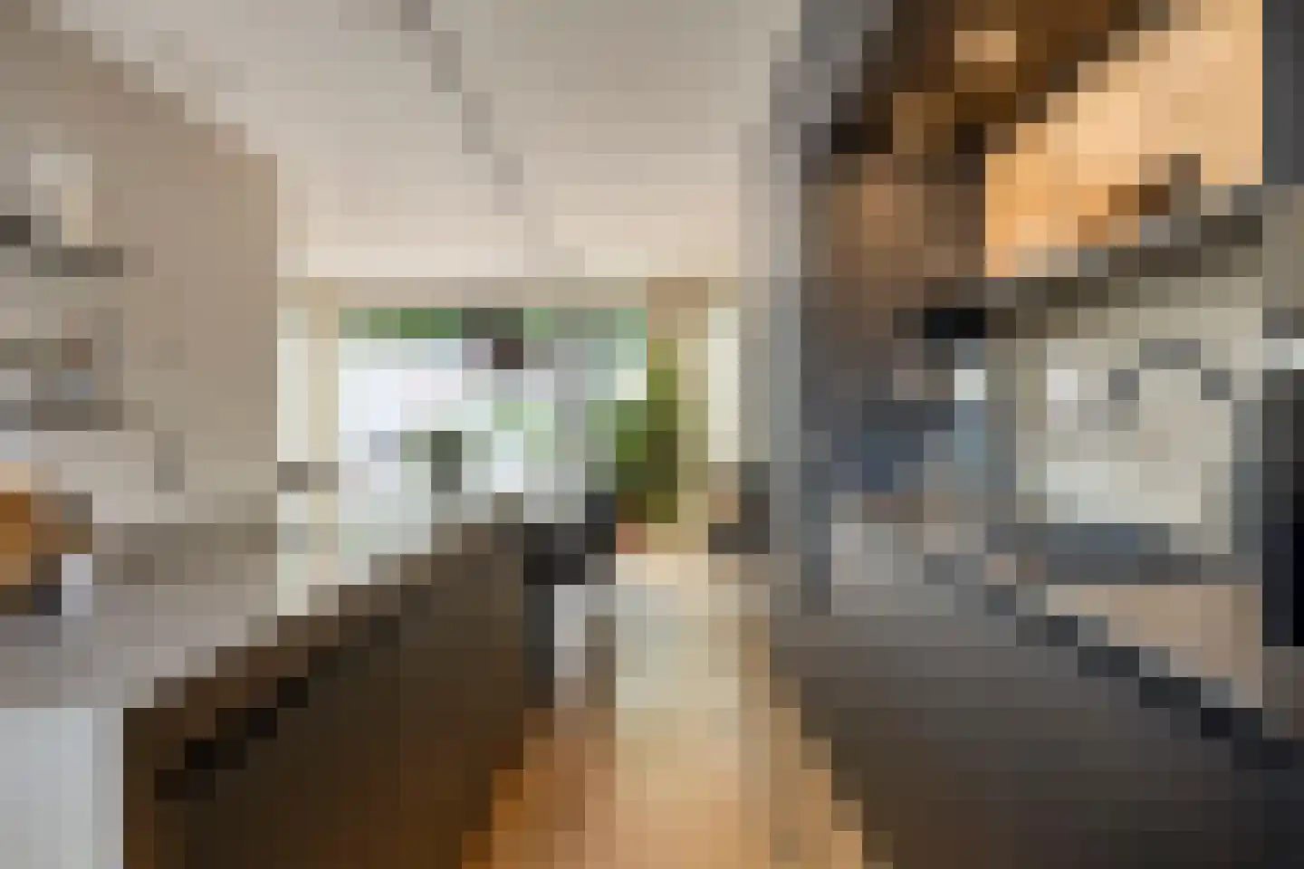 Middeleeuwen 28 Goirle thumbnail 25
