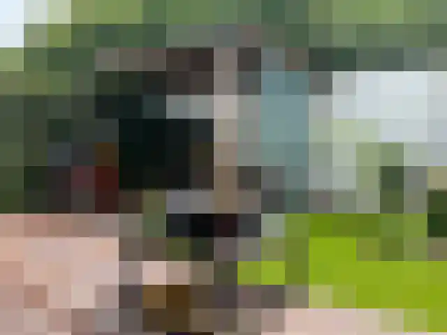 Middeleeuwen 28 Goirle thumbnail 44
