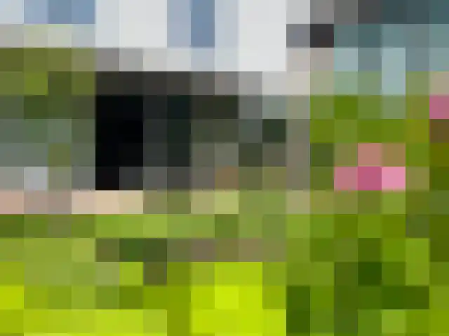 Middeleeuwen 28 Goirle thumbnail 50