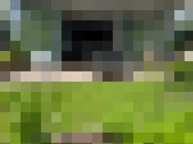 Middeleeuwen 28 Goirle thumbnail 53