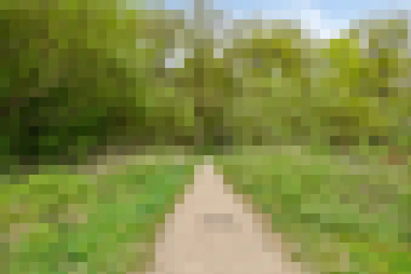 Middeleeuwen 28 Goirle thumbnail 66