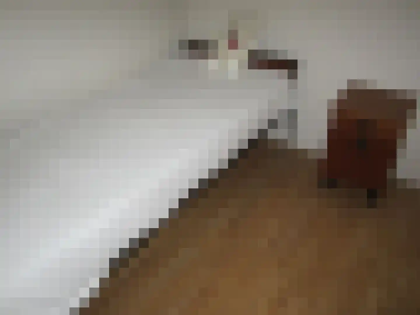 Middelerpad 1 Olst thumbnail 12