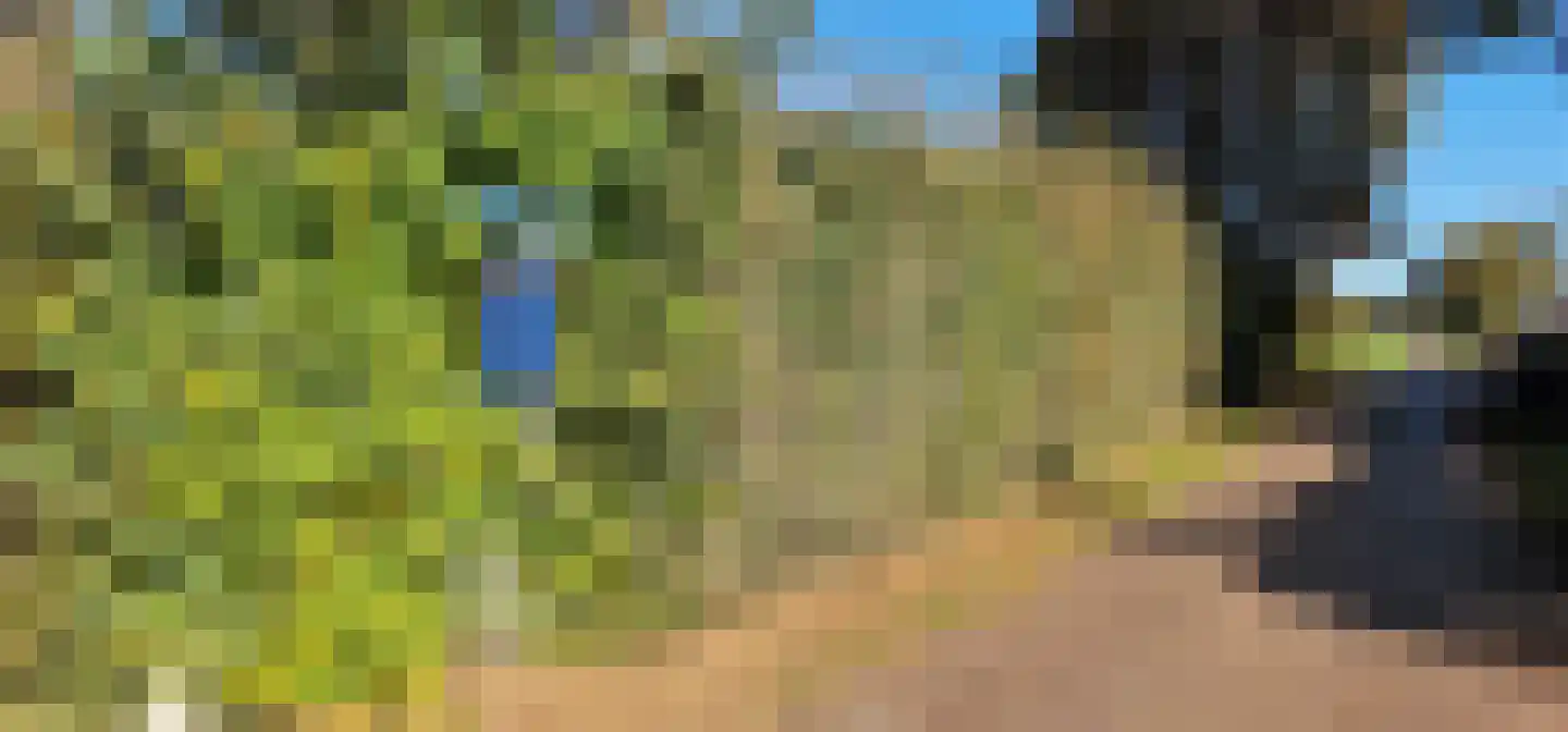 Middelerpad 1 Olst thumbnail 15