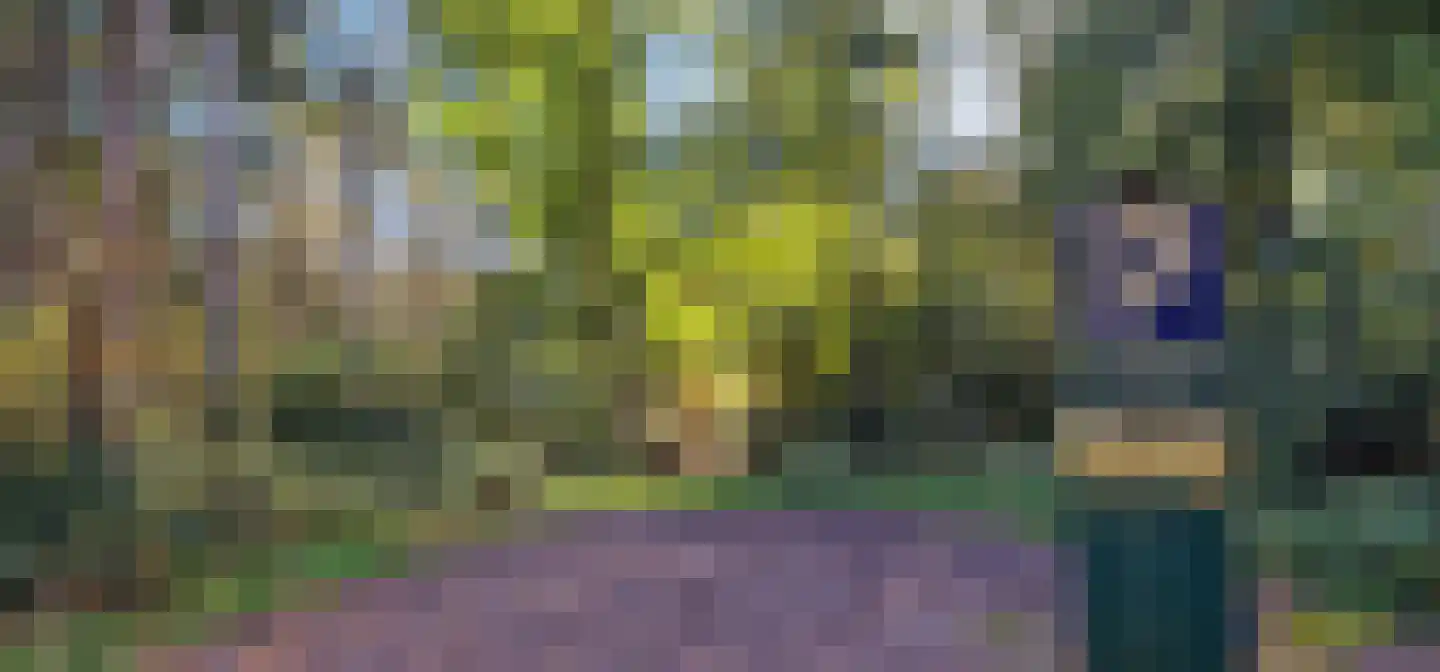 Middelerpad 1 Olst thumbnail 22