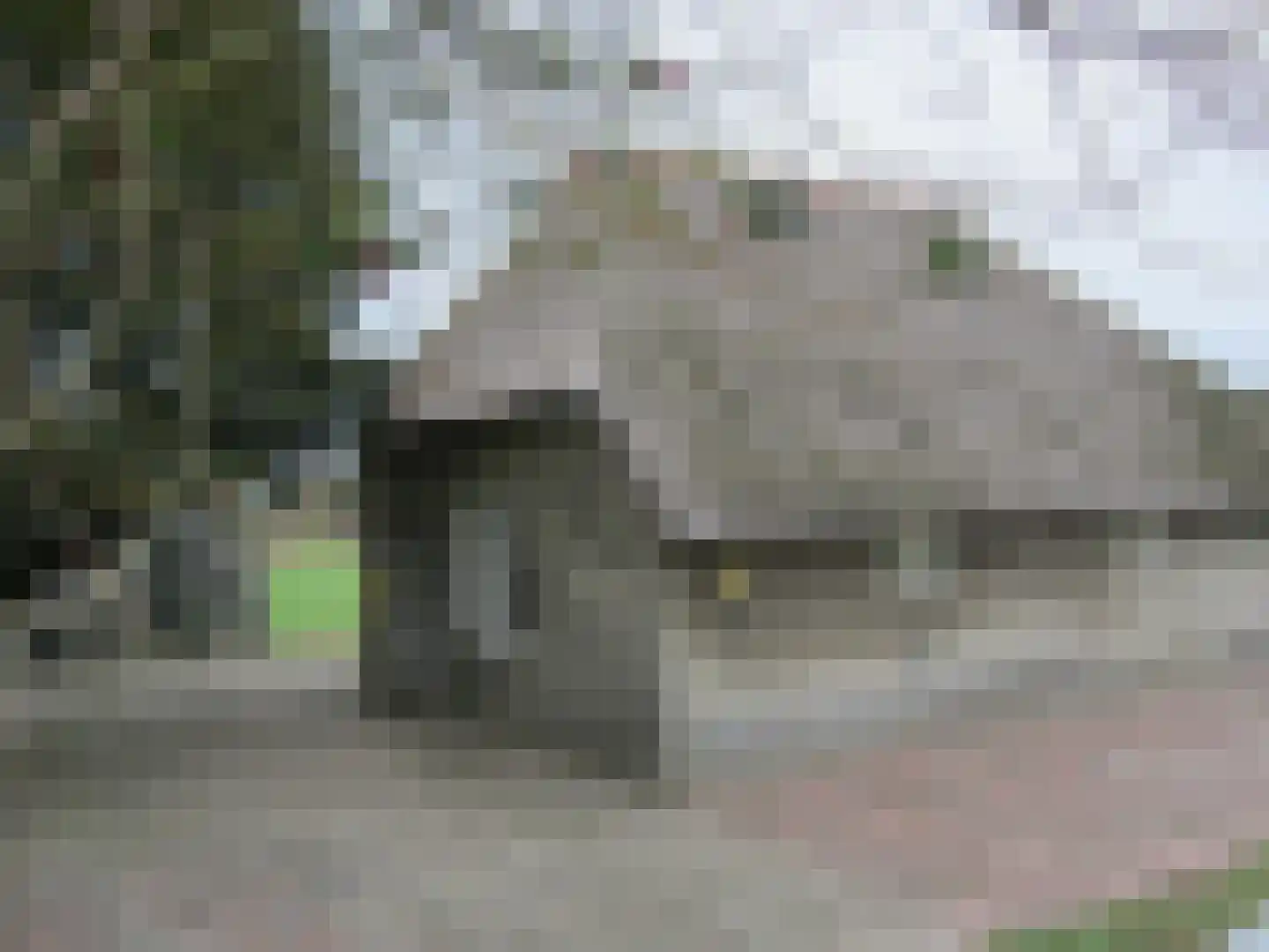 Middelerpad 1 Olst foto 3