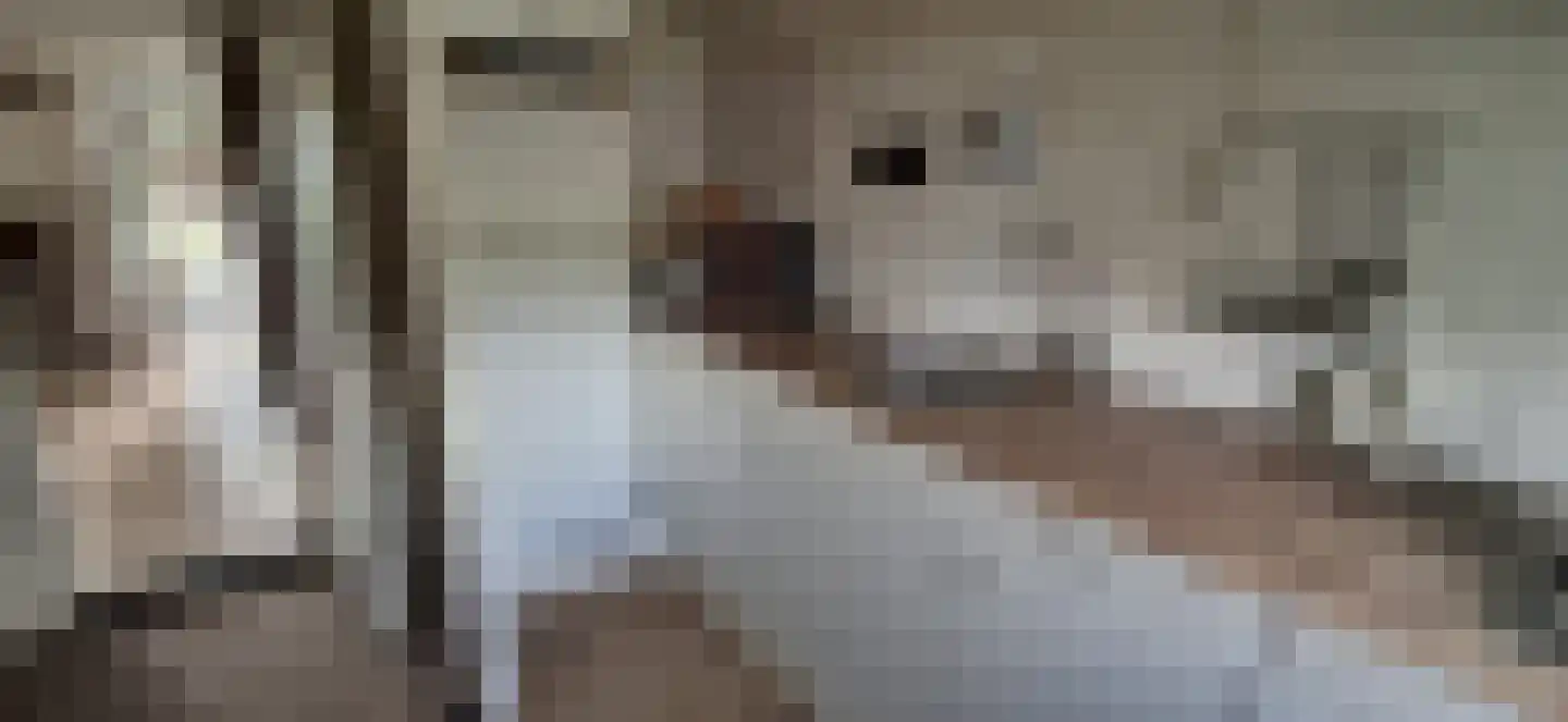 Middelerpad 1 Olst thumbnail 9