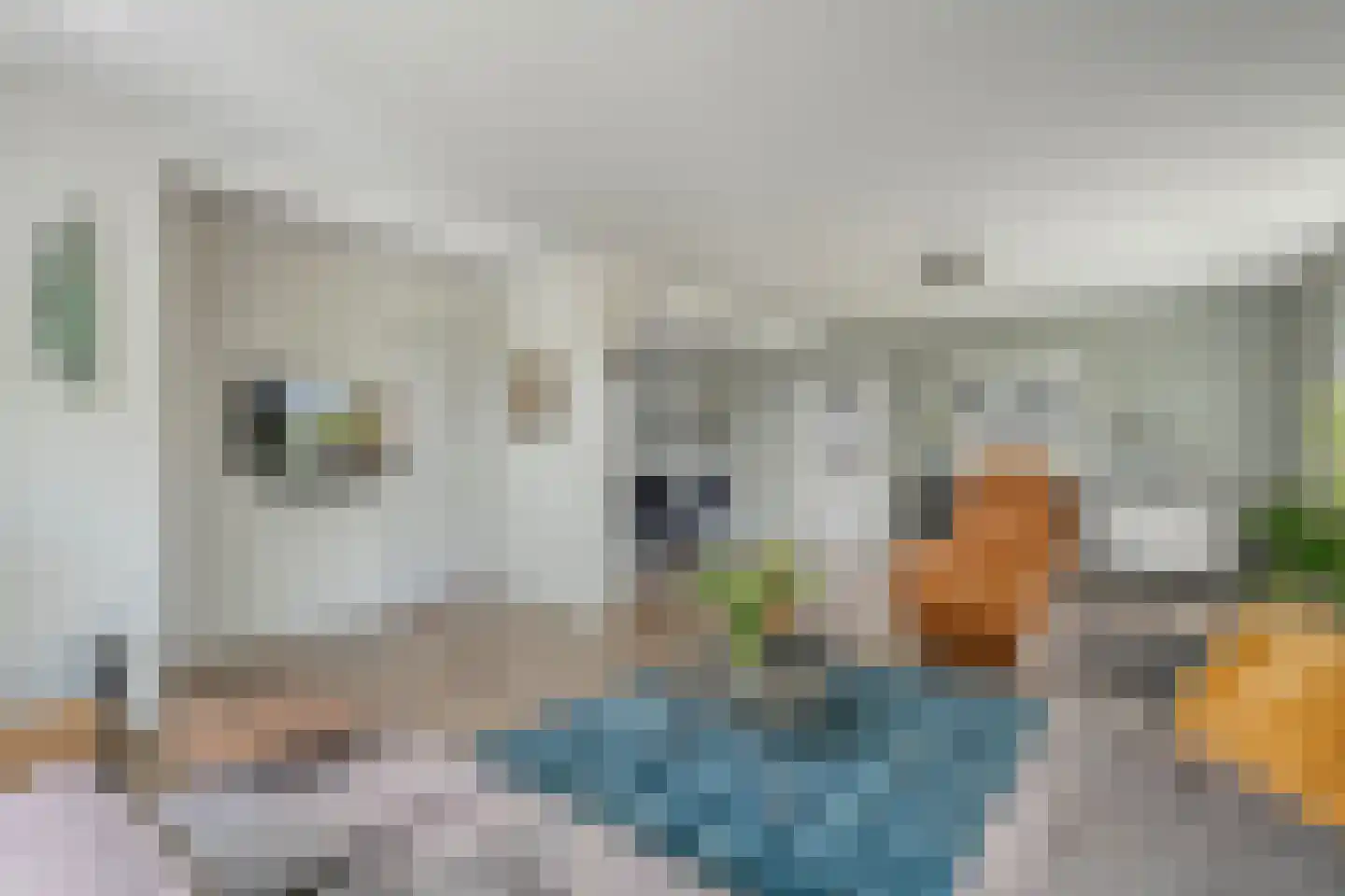 Middelerstraat 1 Olst thumbnail 19