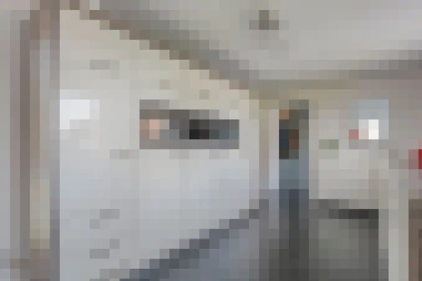 Middelerstraat 1 Olst thumbnail 28