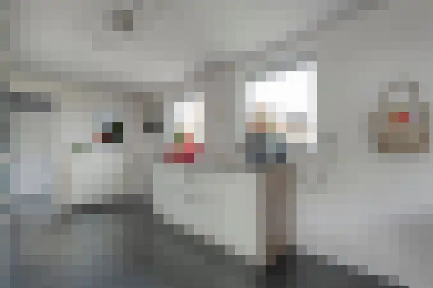 Middelerstraat 1 Olst thumbnail 29