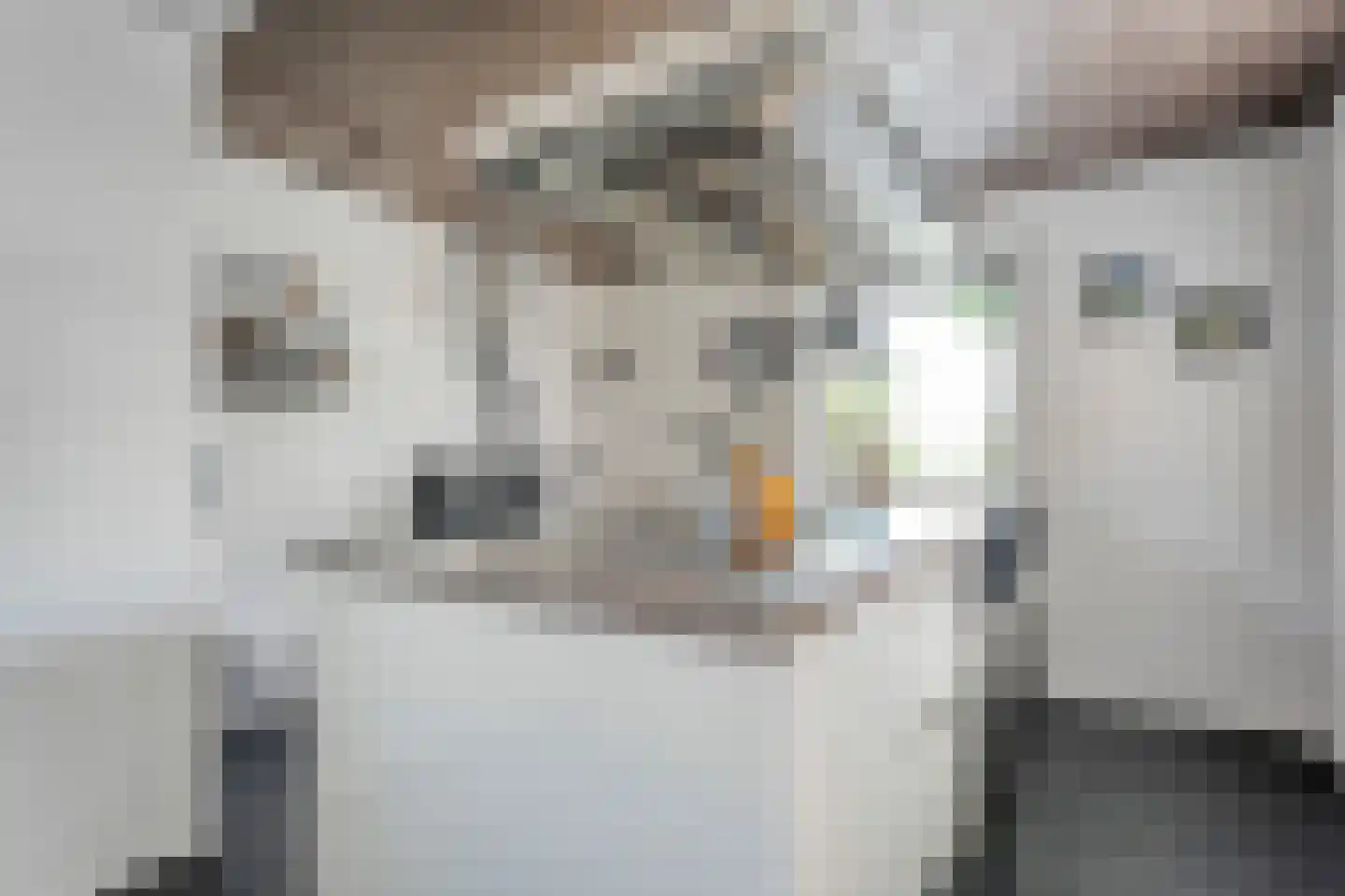 Middelerstraat 1 Olst thumbnail 30