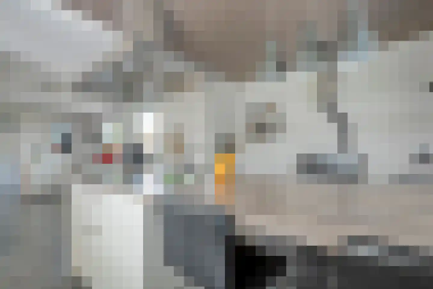 Middelerstraat 1 Olst thumbnail 32