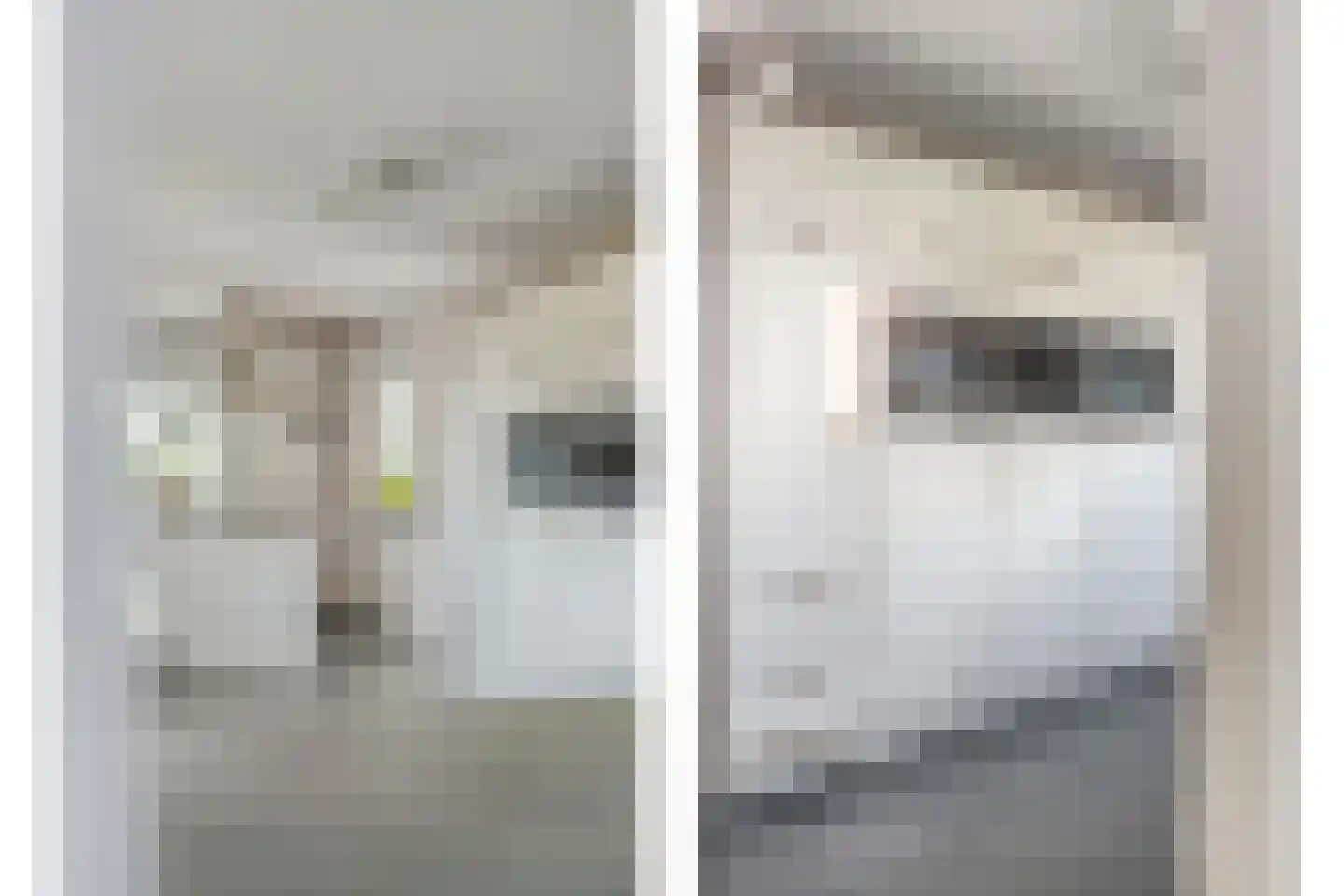 Middelerstraat 1 Olst thumbnail 33