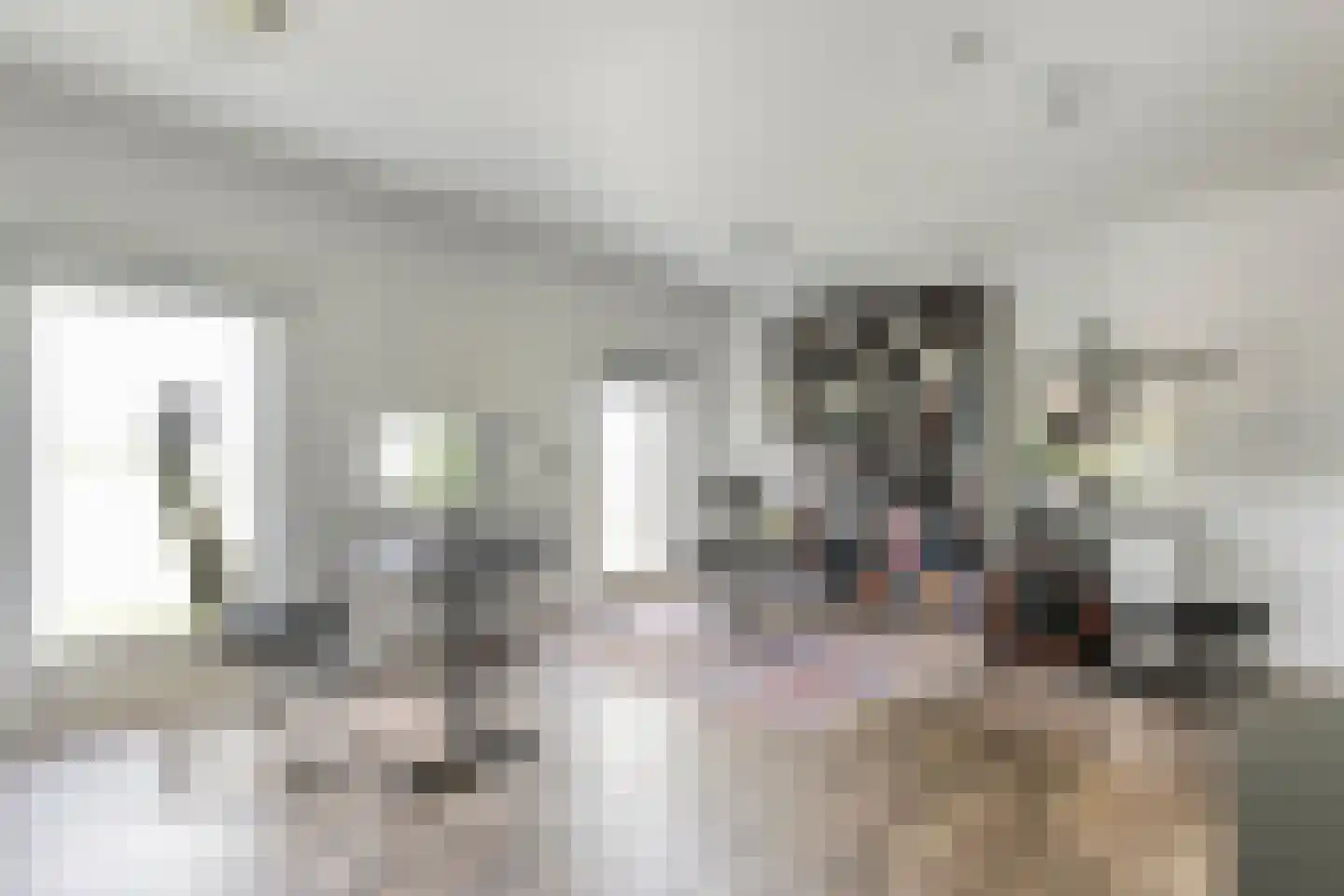 Middelerstraat 1 Olst thumbnail 37