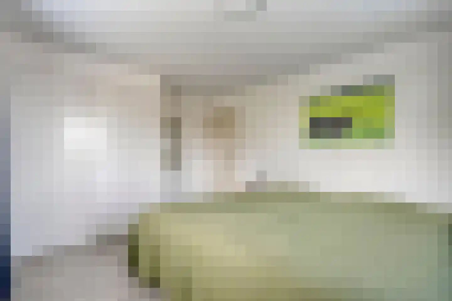 Middelerstraat 1 Olst thumbnail 45