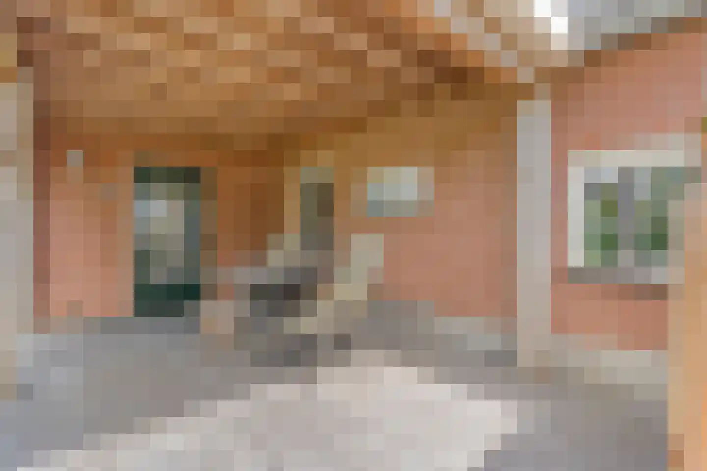 Middelerstraat 1 Olst thumbnail 58