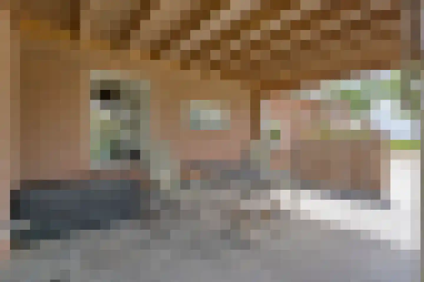Middelerstraat 1 Olst thumbnail 59