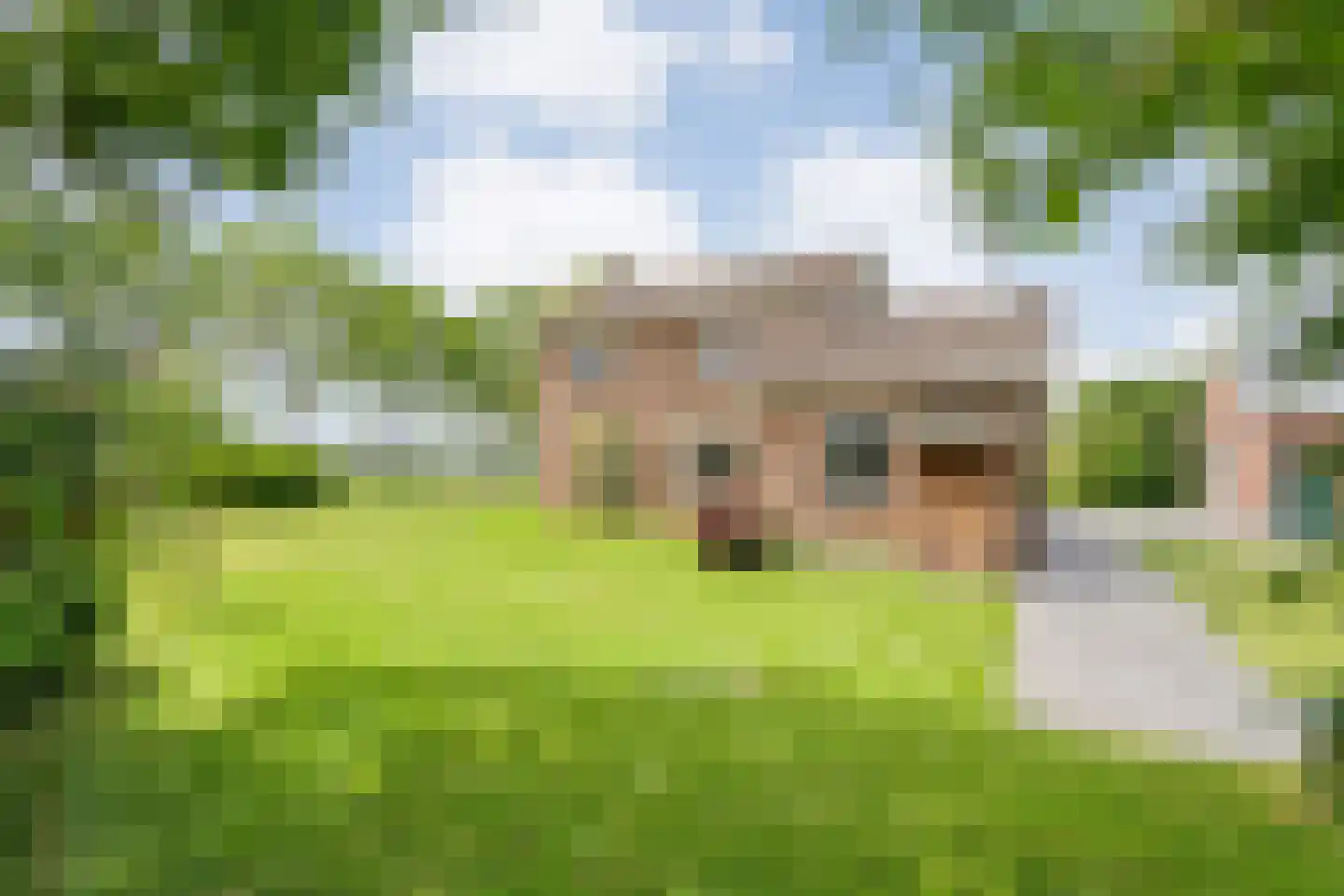 Middelerstraat 1 Olst thumbnail 69