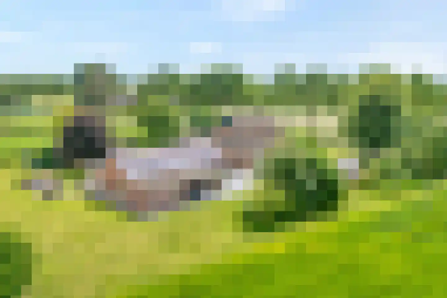 Middelerstraat 1 Olst thumbnail 7