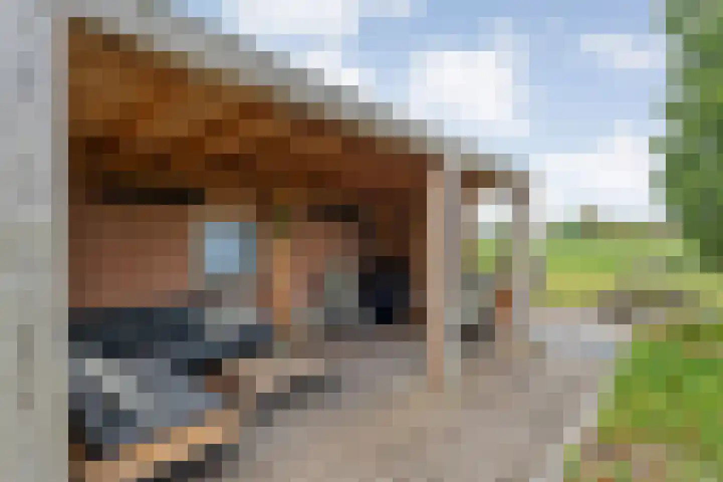 Middelerstraat 1 Olst thumbnail 75