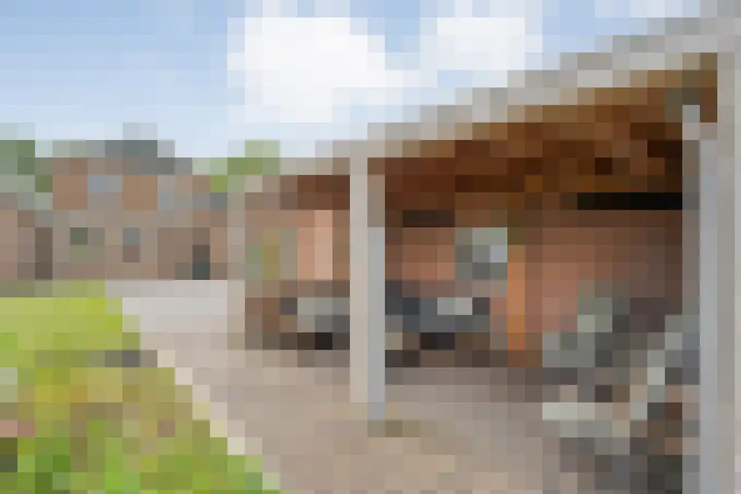 Middelerstraat 1 Olst thumbnail 76