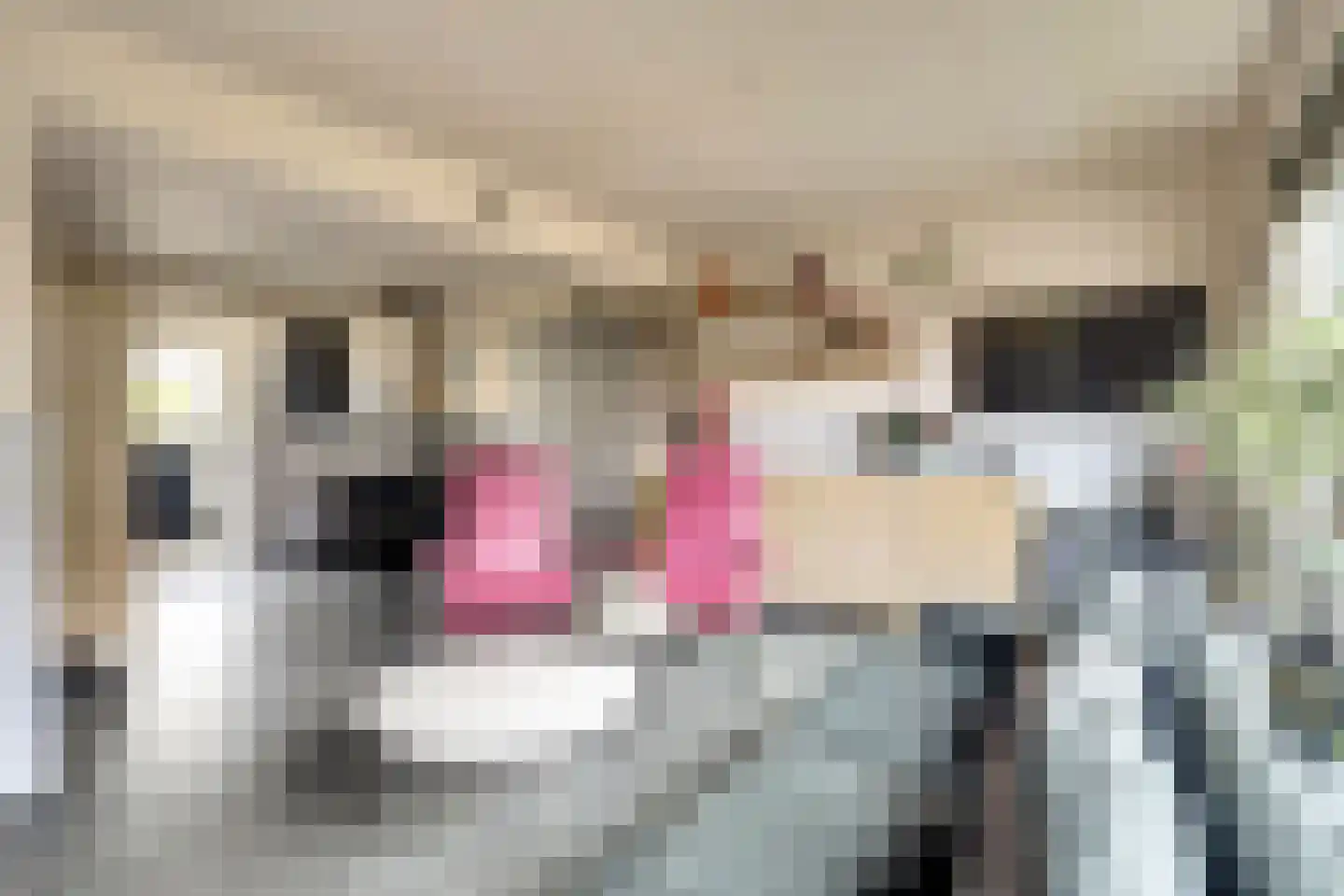 Middelgat 37 Arnemuiden thumbnail 11