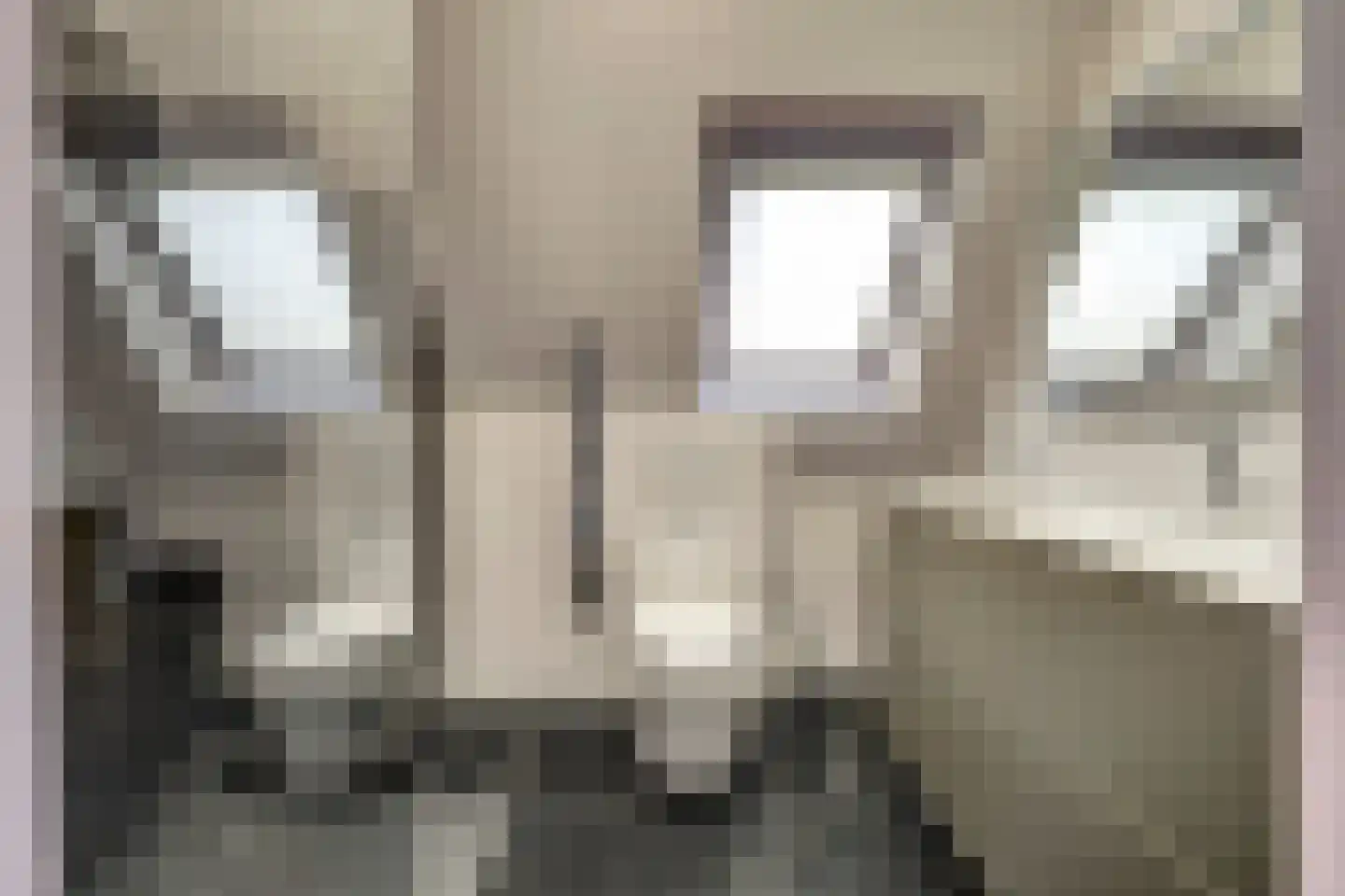 Middelgat 37 Arnemuiden thumbnail 20