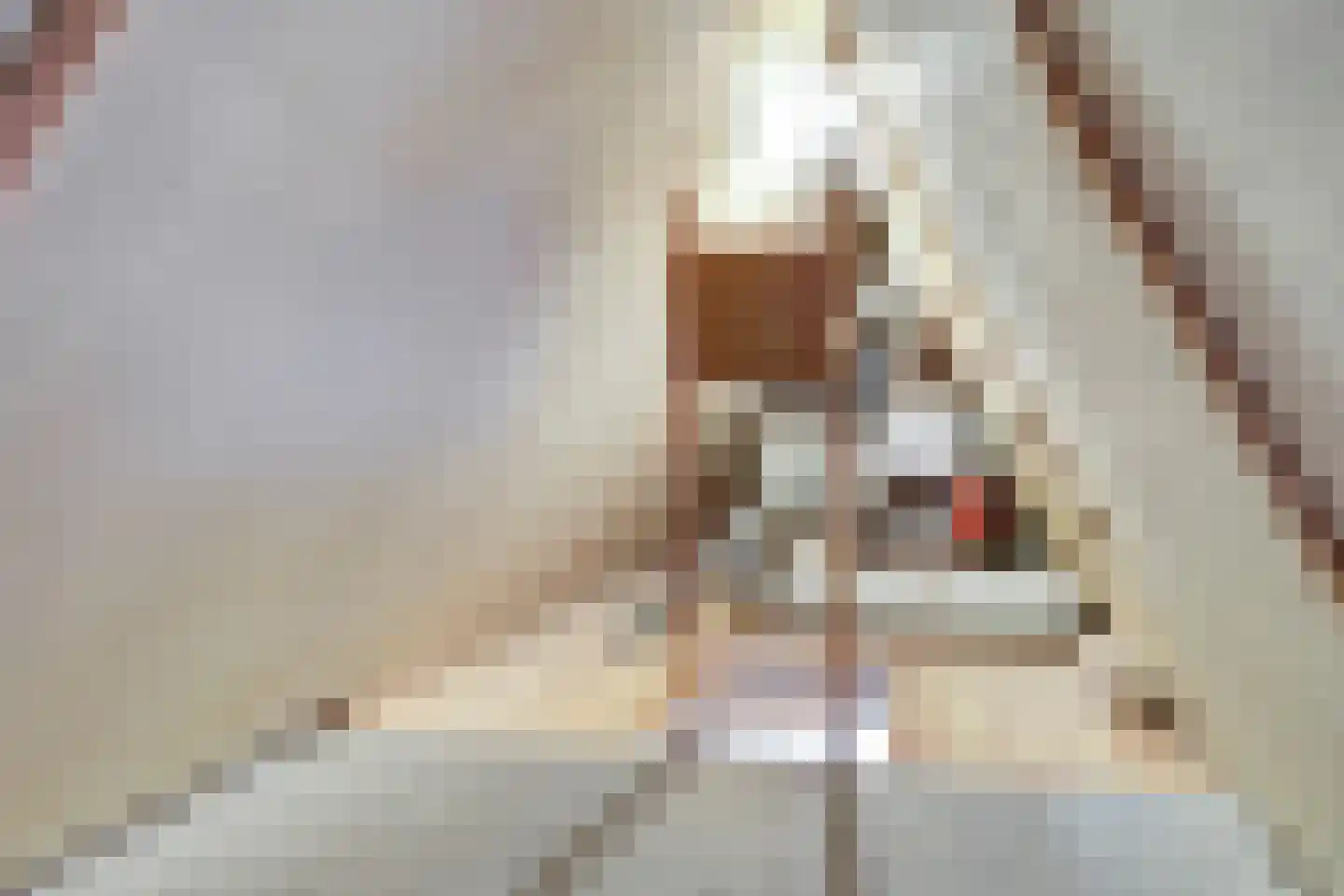 Middelgat 37 Arnemuiden thumbnail 27